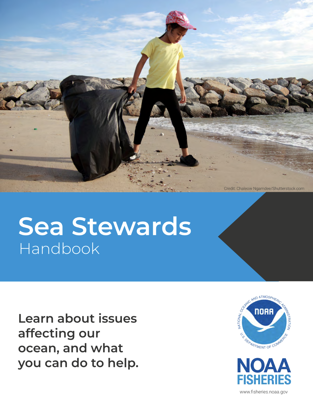 Sea Stewards Handbook A picture of a child participating in a beach clean up